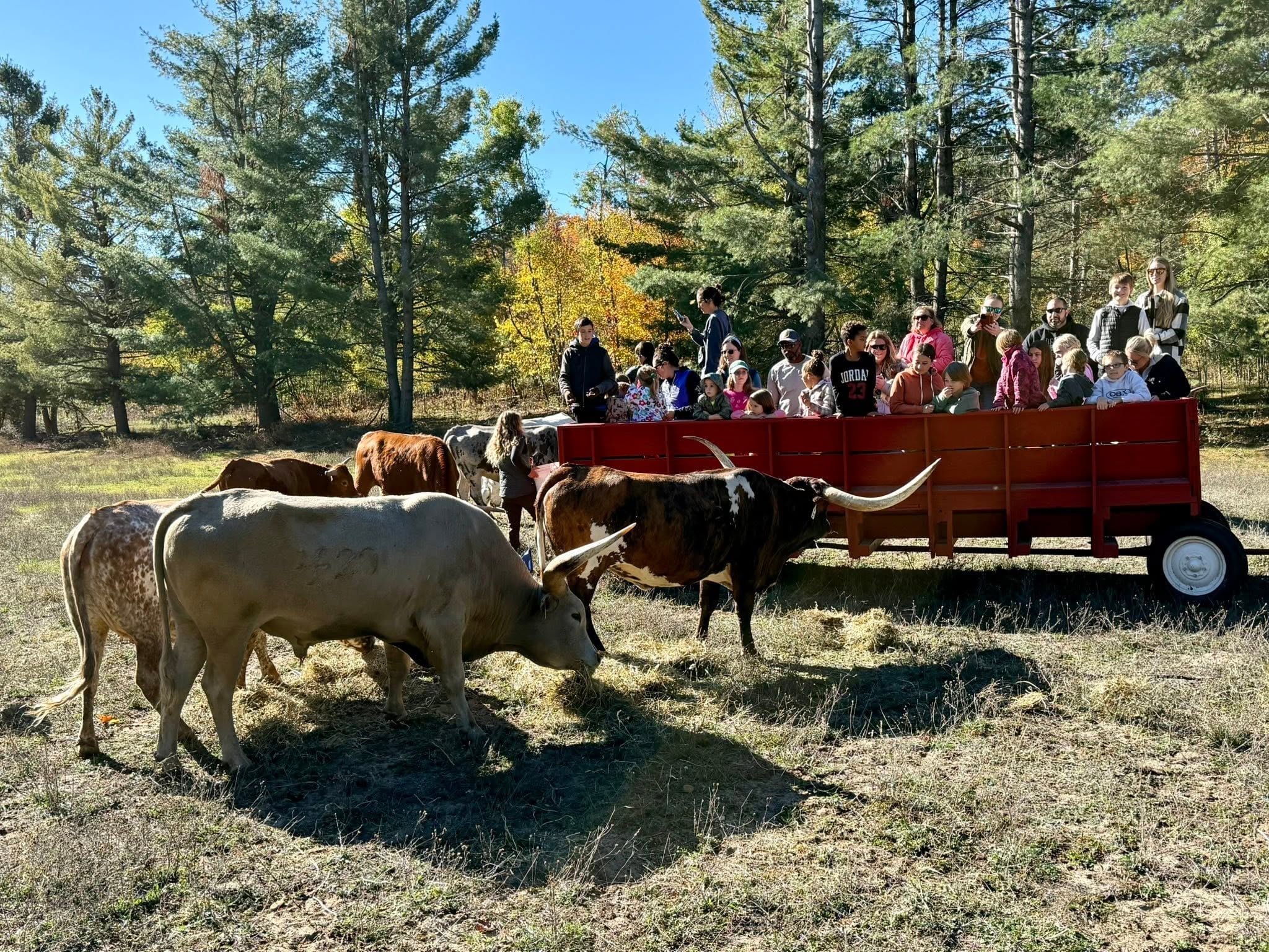 Wilderness Valley Farm in Gaylord, Michigan, home of thirteen festival Saturdays in 2026