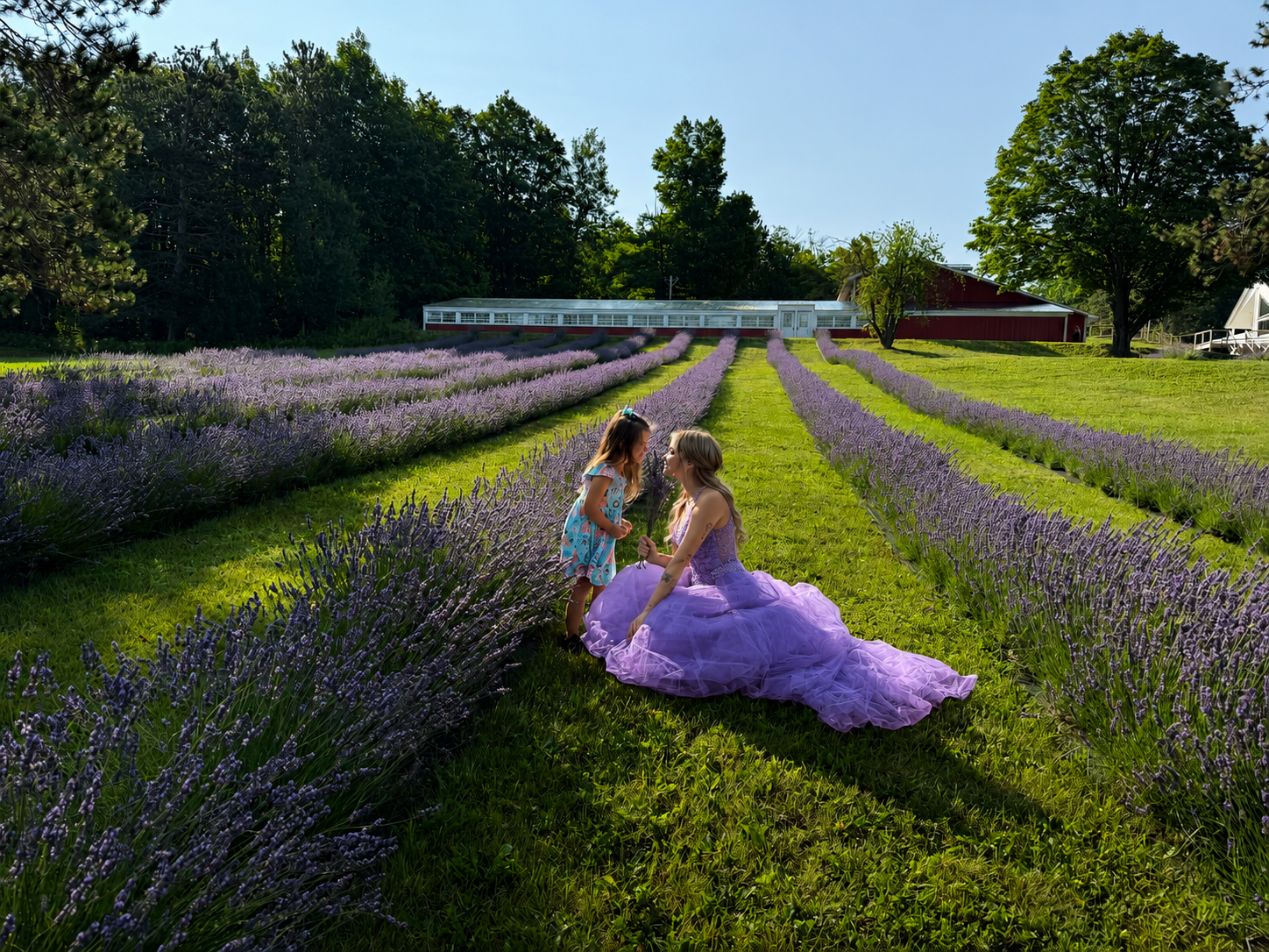Girls in princess dresses meeting the Lavender Queen in the lavender field at Wilderness Valley Farm in Gaylord, Michigan