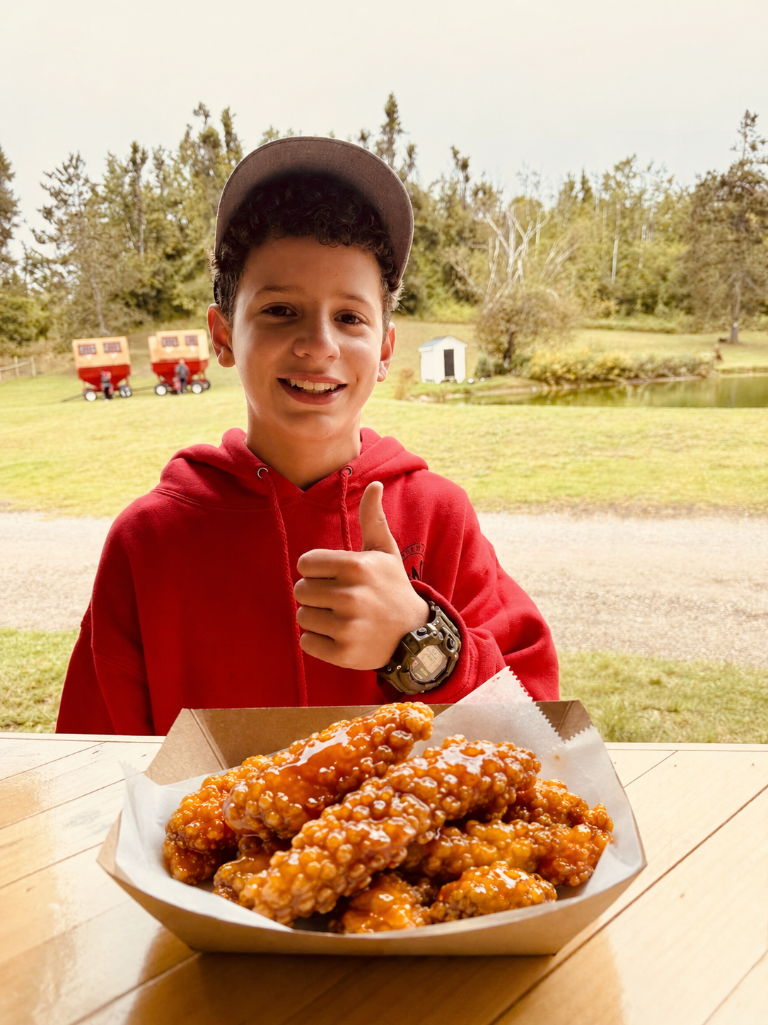 Honey tossed chicken from the Farm Haus at Honey Harvest Fest, Wilderness Valley Farm in Gaylord, Michigan