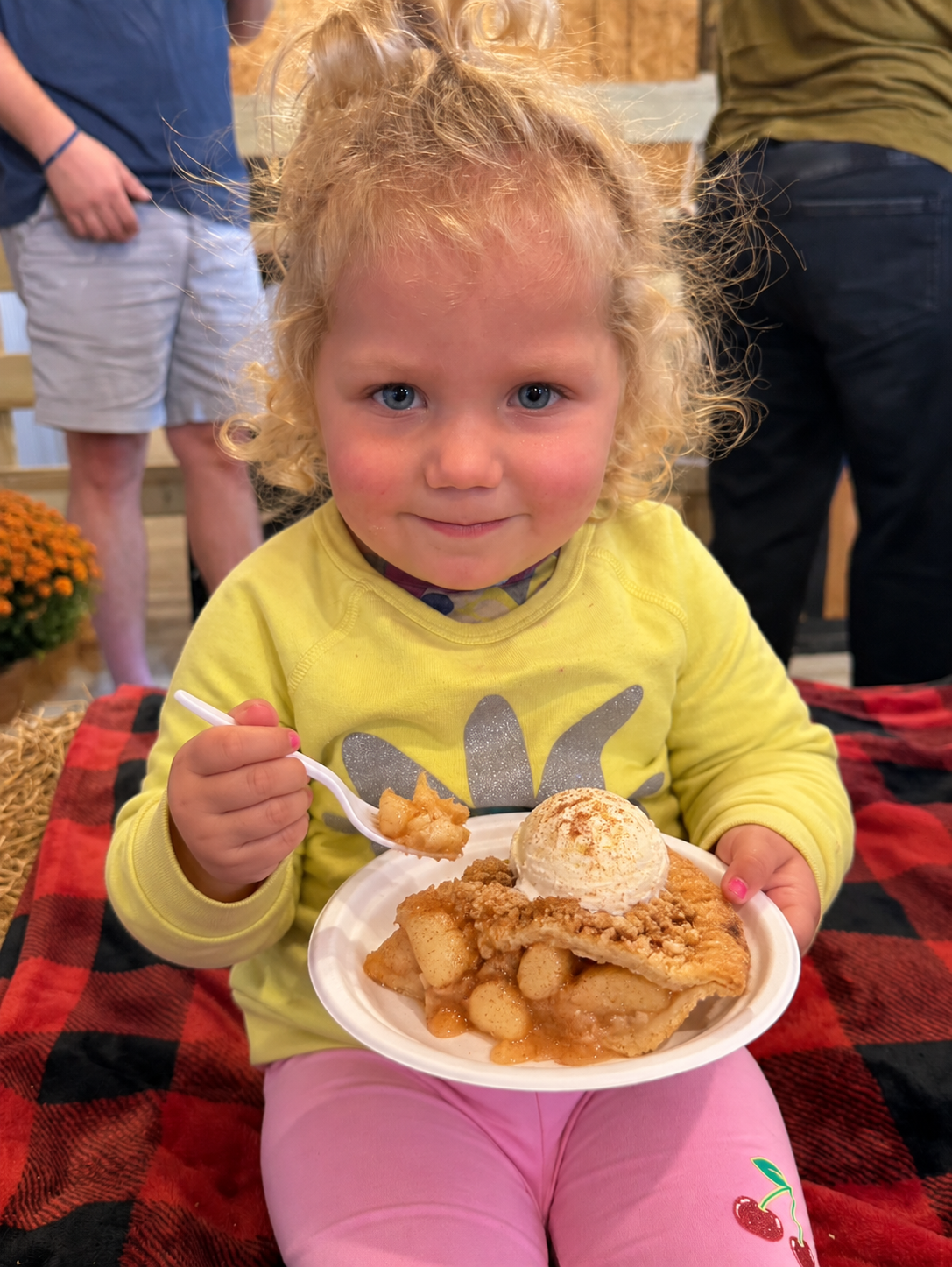 A slice of fresh apple pie from the Farm Haus at Apple Fest, Wilderness Valley Farm in Gaylord, Michigan
