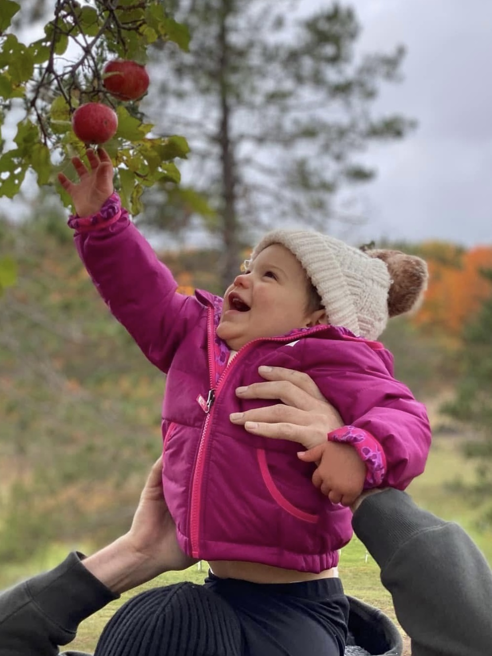 A fall Saturday at Wilderness Valley Farm in Gaylord, Michigan during Apple Fest