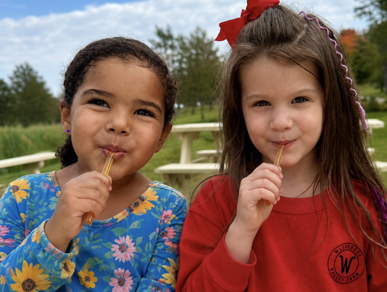 Free honey sticks for every guest at Honey Harvest Fest, Wilderness Valley Farm in Gaylord, Michigan